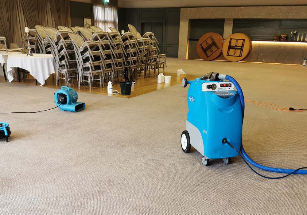 belfast carpet cleaners