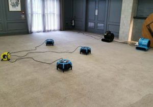 professional carpet cleaners in belfast