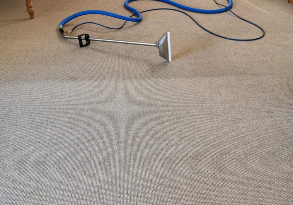 Carpet Cleaning Downpatrick