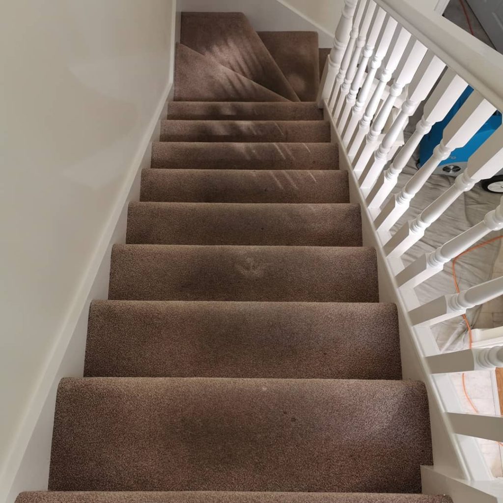 Carpet Cleaning in Saintfield