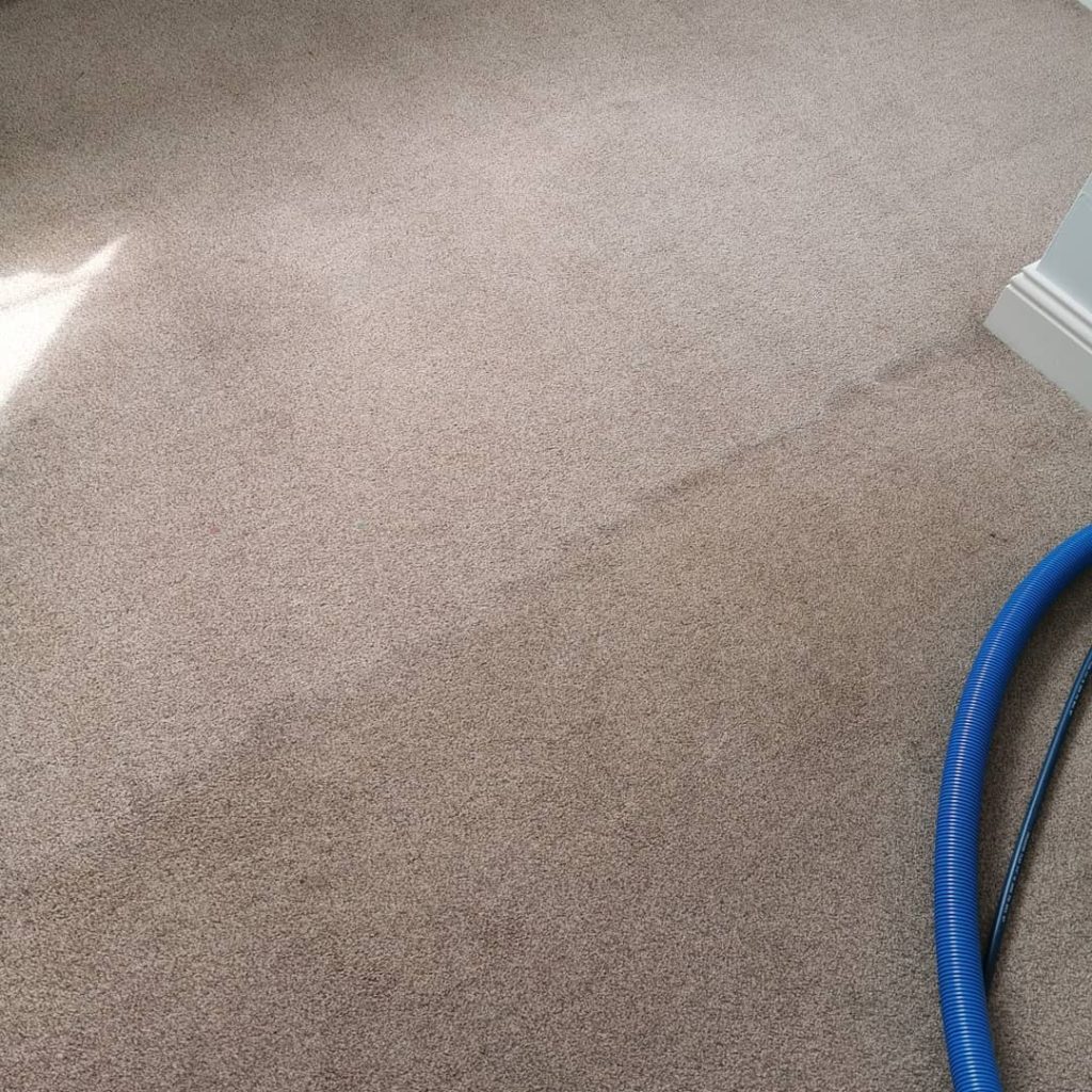 Carpet Cleaning in Saintfield by Mourne Carpet Care - Your local Sainfield Carpet Cleaner