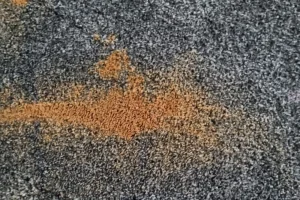 How To Remove Stains From Your Carpet