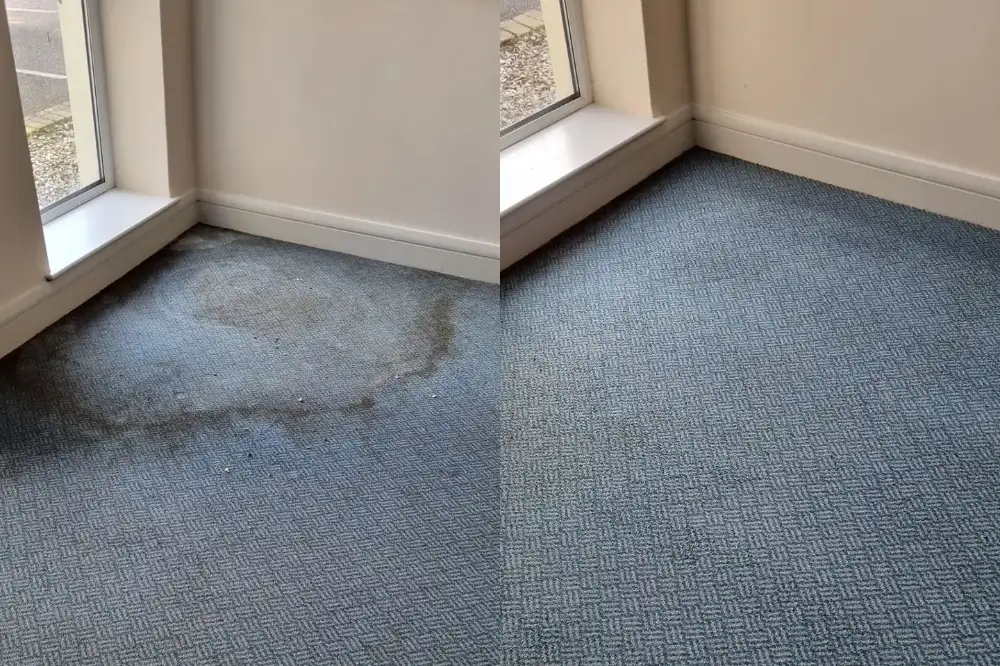 The Visual Benefits of Professional Carpet Cleaning